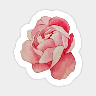 peony Magnet