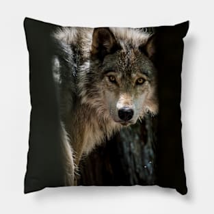 Wolf In Forest Pillow
