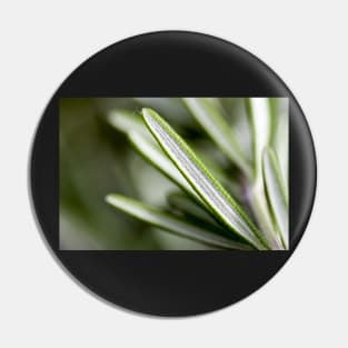 Rosemary Leaves Pin