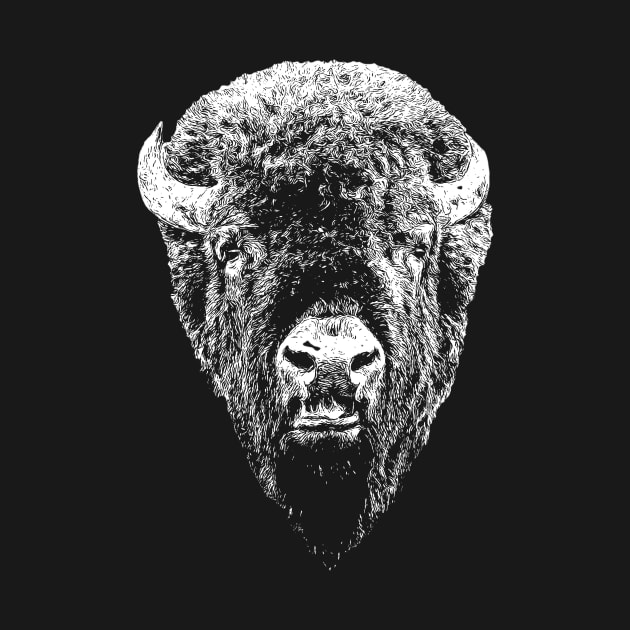 Bison head by Guardi