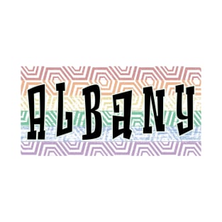 LGBTQ PATTERN AMERICA ALBANY T-Shirt