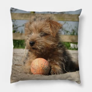 Keep your eye on the ball Pillow