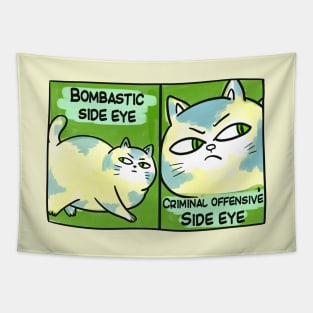 BOMBASTIC SIDE EYE FUNNY TIKTOK CAT MEME Tapestry