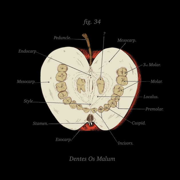 The Magnus Archives - Anatomy Class - Teeth Apple by Rusty Quill