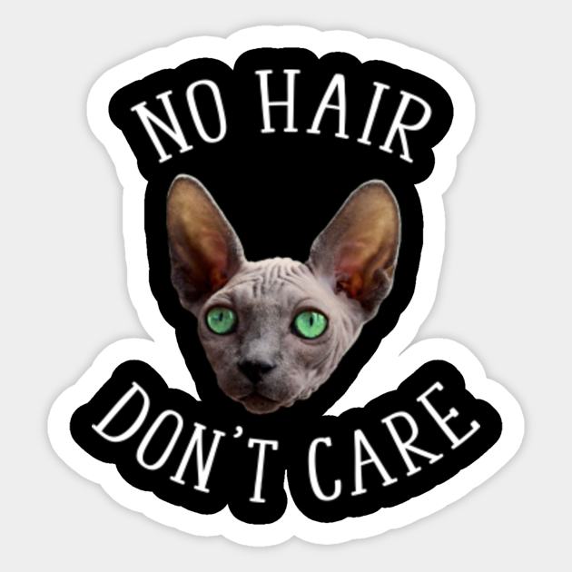 No Hair Don T Care Funny Sphynx Cat No Hair Dont Care Sticker Teepublic