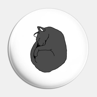 Gray cat sleeps Pin