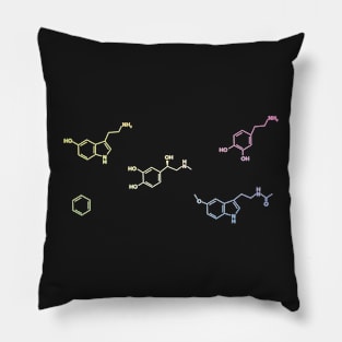 Organic Chemistry Molecule Pack Pillow