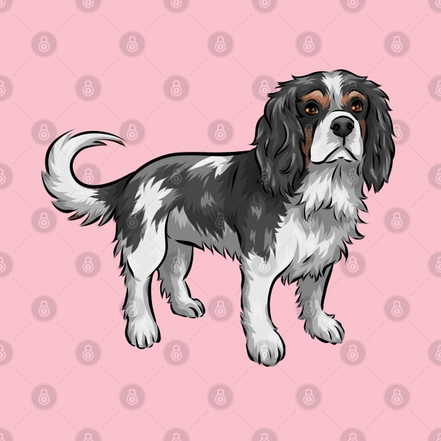 Cavalier King Charles Spaniel by Shirin Illustration