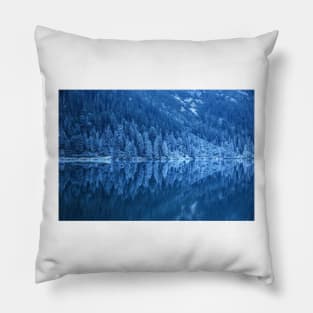 Frozen forest Pillow