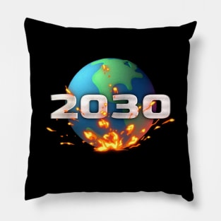 2030 Pillow