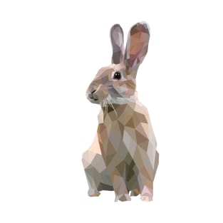 Brown Bunny. Rabbit. Geometric. Lowpoly. Illustration. Digial Art. T-Shirt