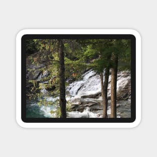 Waterfall in Woods Magnet