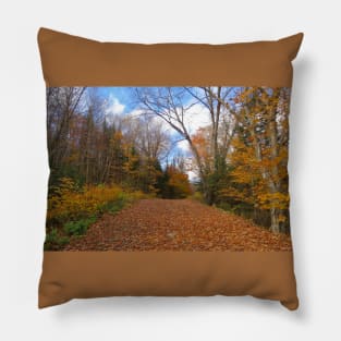 Ravensworth, Kearney Ontario, Canada Pillow