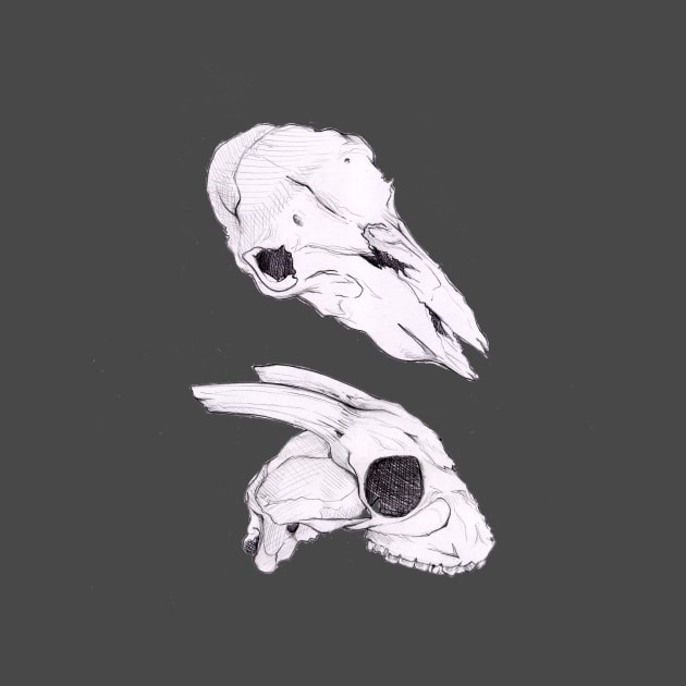 Sheep & Goat Skulls by srw110