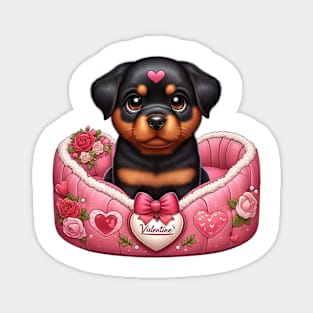 Valentine Rottweiler Dog in Bed Magnet