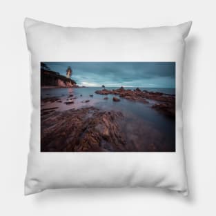 The Coast Pillow