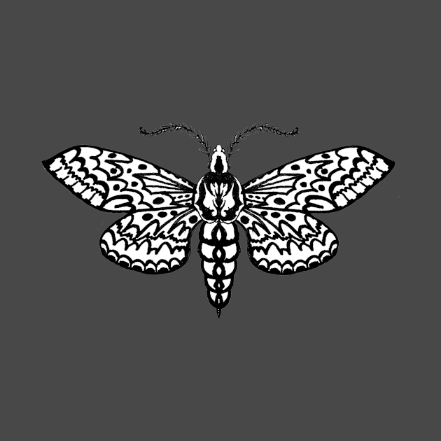 Sphinx Moth by Freja