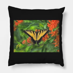 Swallowtail Butterfly Pillow