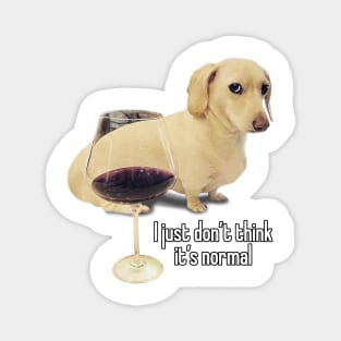Homophobic Dog Meme Magnet