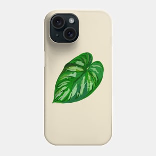 Philodendron 'Plowmanii' Phone Case