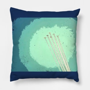Airplane Flight Pillow