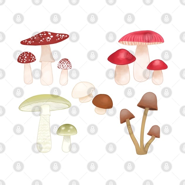 Mushroom Assortment by Snoozy