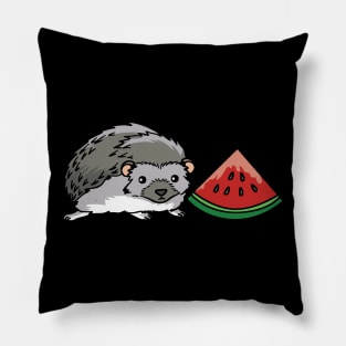 A cute hedgehog with a melon Pillow