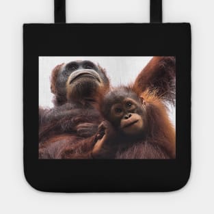 Mother & baby Orangutan, Borneo Tote