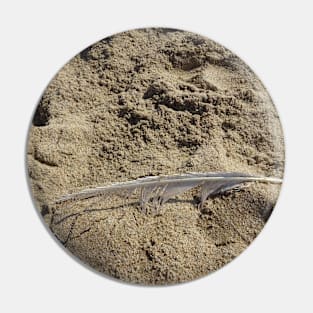 A seagull feather on the sand Pin