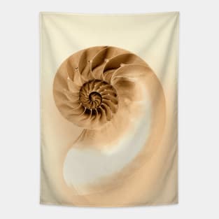 SEASHELL Tapestry