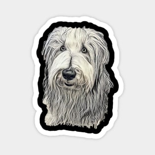 Bearded Collie Magnet