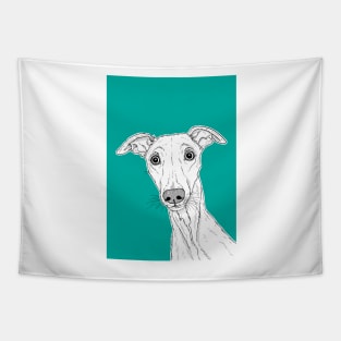 Whippet Dog Portrait ( teal background ) Tapestry