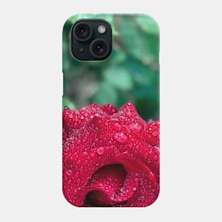 Red Rose in Spring Rain Phone Case