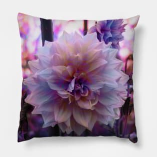 Pink Dahlia Pillow