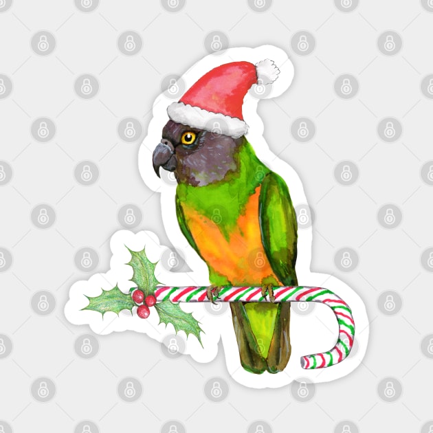 Senegal parrot Christmas style Magnet by Bwiselizzy