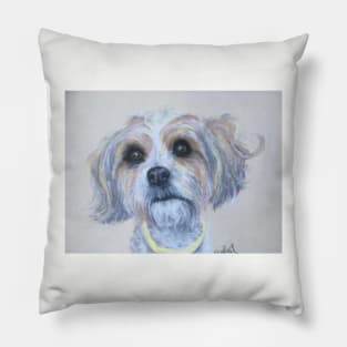 Biewer Terrier Pillow