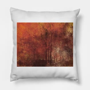 FIRES Pillow