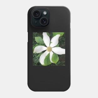 White Clematis Phone Case