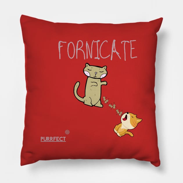 Purrfect Fornicate Pillow by dmangelo