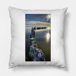 Salton Sea Pillow