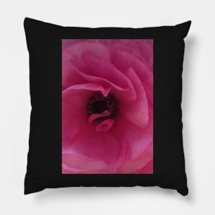 Love is as Tender as the Pink Ranunculus Pillow