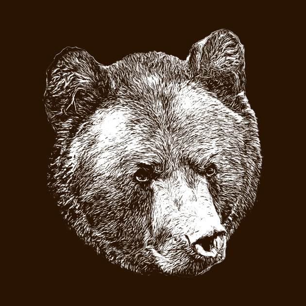 Brown bear portrait by Guardi
