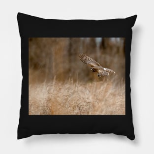 A Northern Harrier Hunting In A Field Pillow