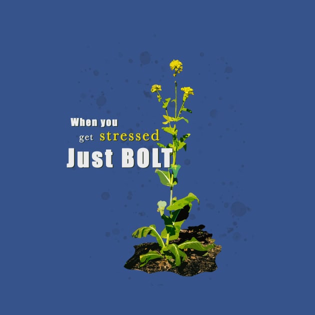 Just Bolt by Backyard Gardens