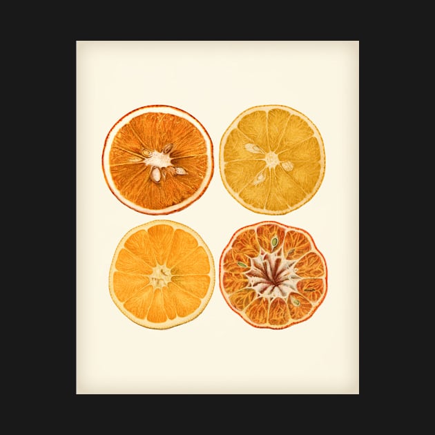 Retro Style Orange & Lemon Slice Art by DownThePath