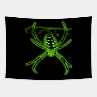 Real Spider possible radioactive Tapestry