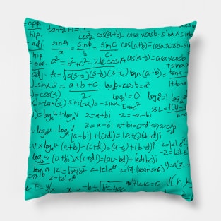 Math Teacher's Equation Delight Pillow