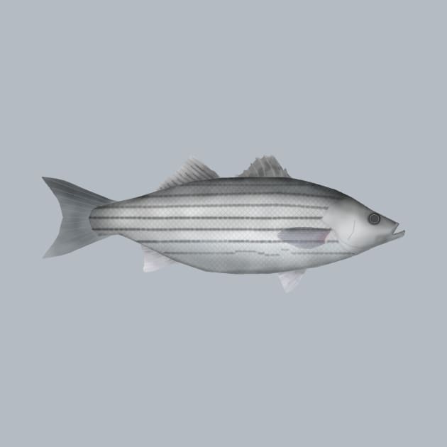 Striped Bass by FishFolkArt