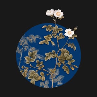 Vintage White Sweetbriar Rose Botanical Illustration on Circle T-Shirt