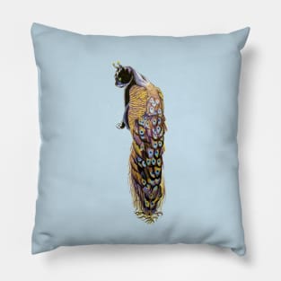 Peacat Pillow